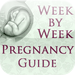 Pregnancy Week BY Week Lite
